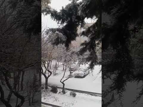 آدم برفی روزای بچگی زود مثل تن تو آب شدن