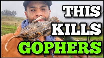Reclaim your LAWN and GARDEN with GOPHERHAWK Traps!