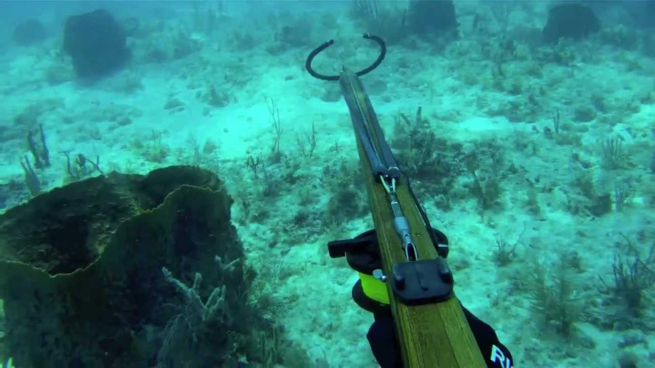 Spearfishing Marathon With GoPro Hero Flat Lens YouTube
