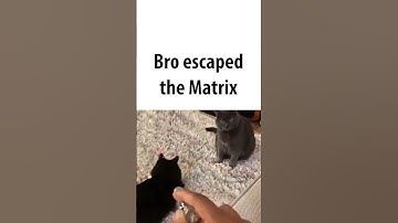 Bro escaped the matrix