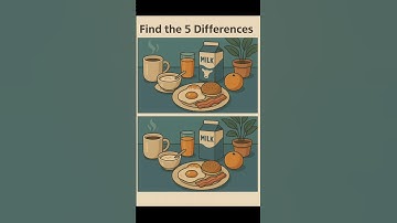 Spot It If You Can! 🔍 #FindTheDifference #shorts #viral #trending