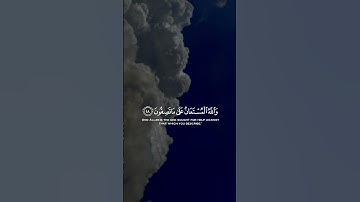 فصبر جميل و الله المستعان على ما تصفون || سورة يوسف || القارئ: طارق محمد