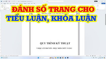 Cách đánh số trang cho bài tiểu luận và khóa luận trong Word