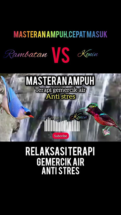 masteran rambatan konin ampuh relaksasi terapi air