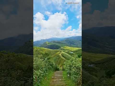 桃源谷步道 #草嶺古道 #桃源谷步道 #仙境 #龜山島 #台灣景點 #東北角 #水牛 #宜蘭景點 #海岸線 #hiking #trail #adventure #scenery #mountains
