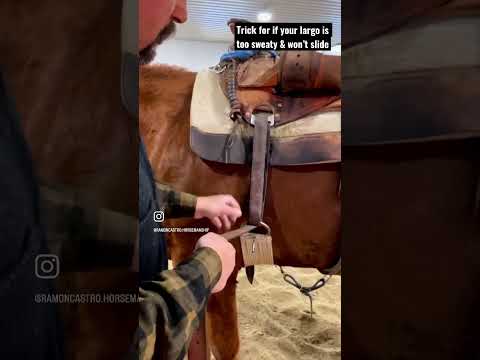 Horsetips Horsemanship Horseriding Cowboy Caballos Howto Rancho 