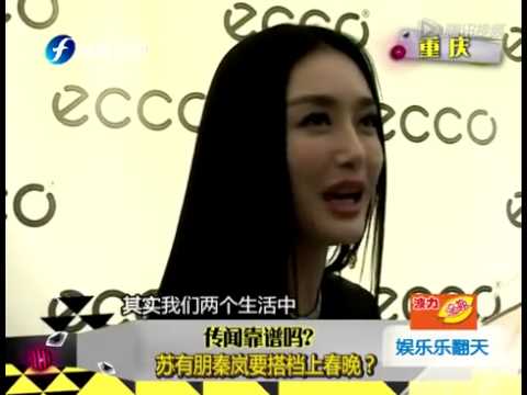 传闻靠谱吗 苏有朋秦岚要搭档上春晚
