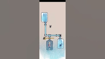 Freeze The Spider Pull The Pin Android/iOS Gameplay #Shorts