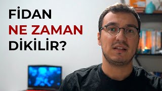 Fidan Ne Zaman Dikilir? Resimi