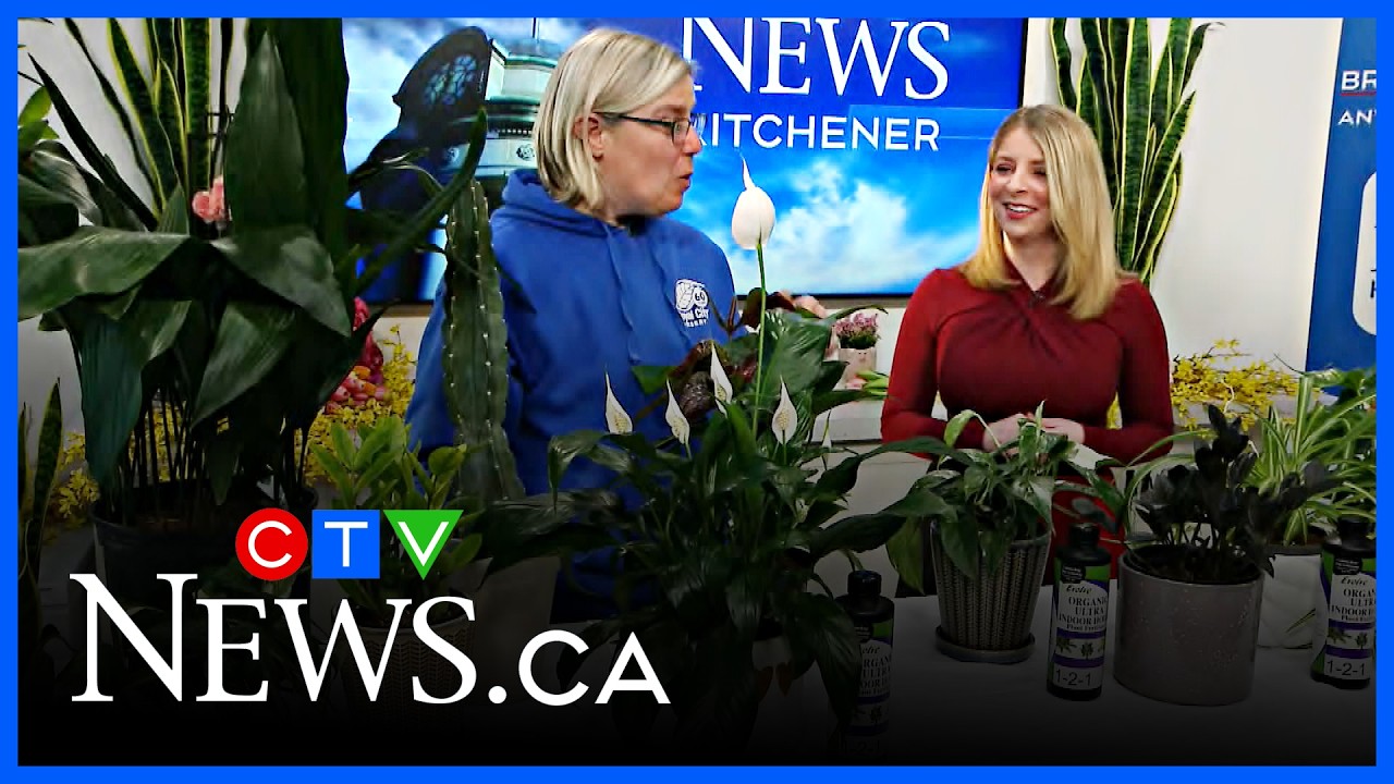 Hardy plants for the green-thumbed challenged