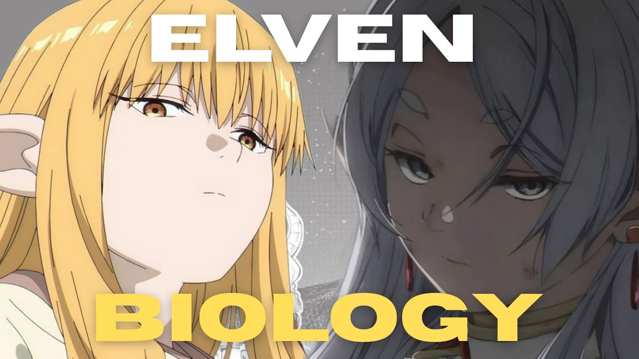 Anime Got Elves All Wrong... Until Frieren