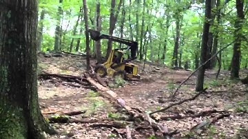 Knocking trees down with the skid steer