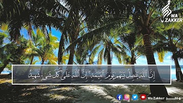 حصريا القارئ الشيخ سعود الحليبي و ما تيسر من سورة الحج