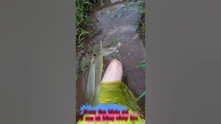 Đang tìm khóa rơi thì con cá bỗng nhảy lên
