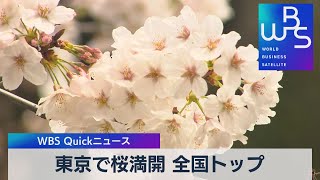 東京で桜満開 全国トップ【WBS】（2023年3月22日）