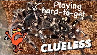 When Male Has Zero Clue And Female Plays Hard To Get ..