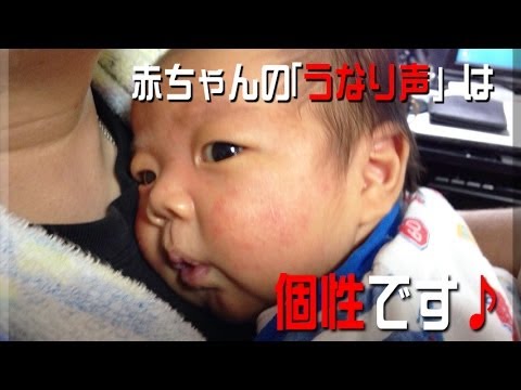 ひよこクラブ 赤ちゃんのうなり声とは Youtube