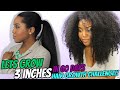 Hair Growth Regimen Challenge | Grow Natural Hair | 2 Month Growth Challenge