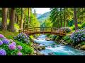 Healing Music for Inner Peace 🌿 Calming Music &amp; Nature Sounds for Stress Relief