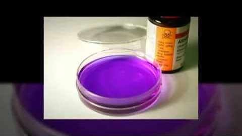 3 Common Forensic Toxicology Careers