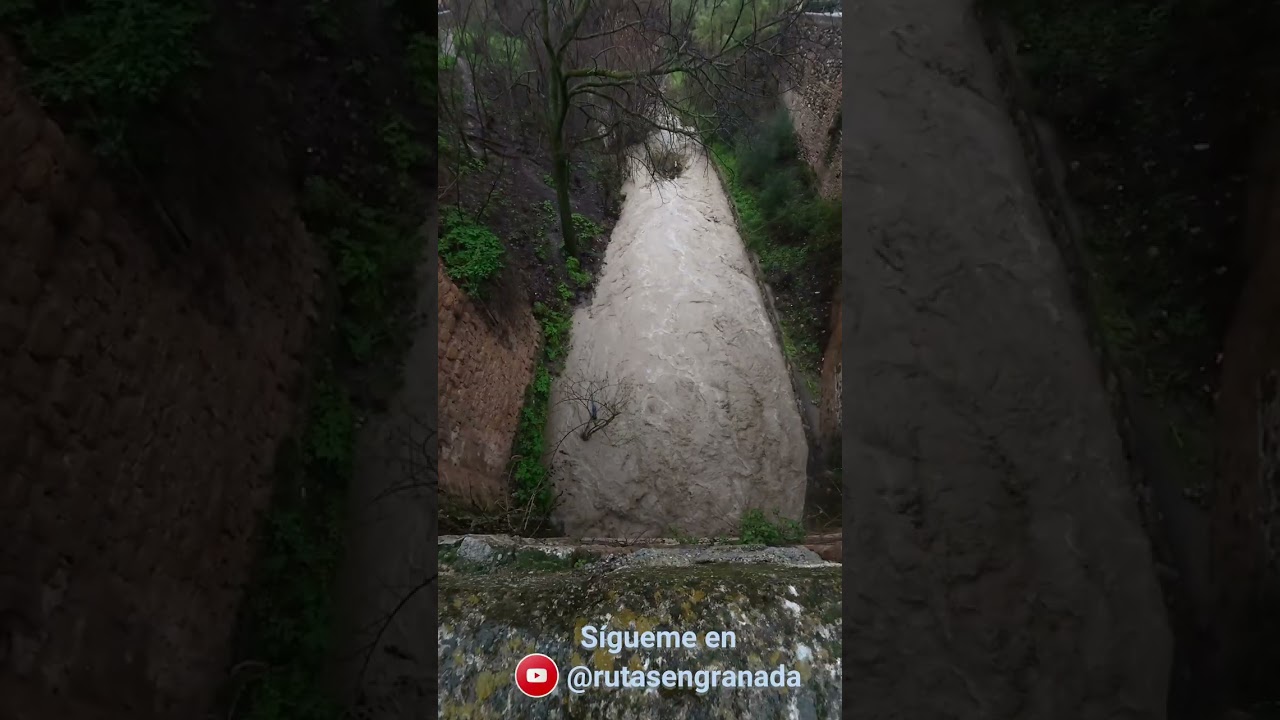 El rugido del Darro: Granada bajo el temporal Leonardo (04/02/2026) 🌧️🏰