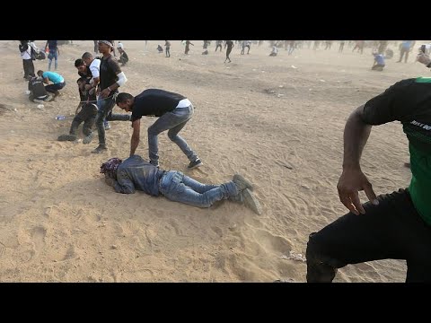 Video: L'esercito Israeliano Ammette Di Aver Usato I Cani Contro I Palestinesi