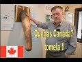 ¿Quieres ser reclutado para trabajar en Canadá?  VE ESTE VIDEO