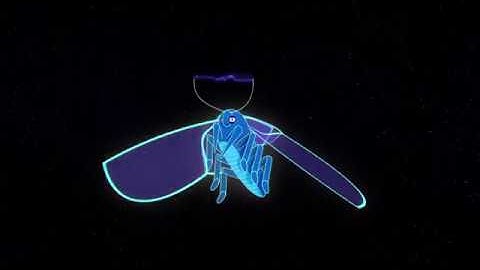 Space Moth (Animation) - Made in Toon Boom Harmony and After effects (2019)