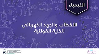 الأقطاب والجهد الكهربائي للخلية الفولتية | الكيمياء