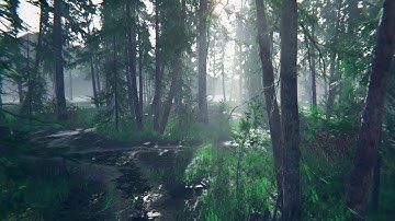 Unity HDRP Scenes Test