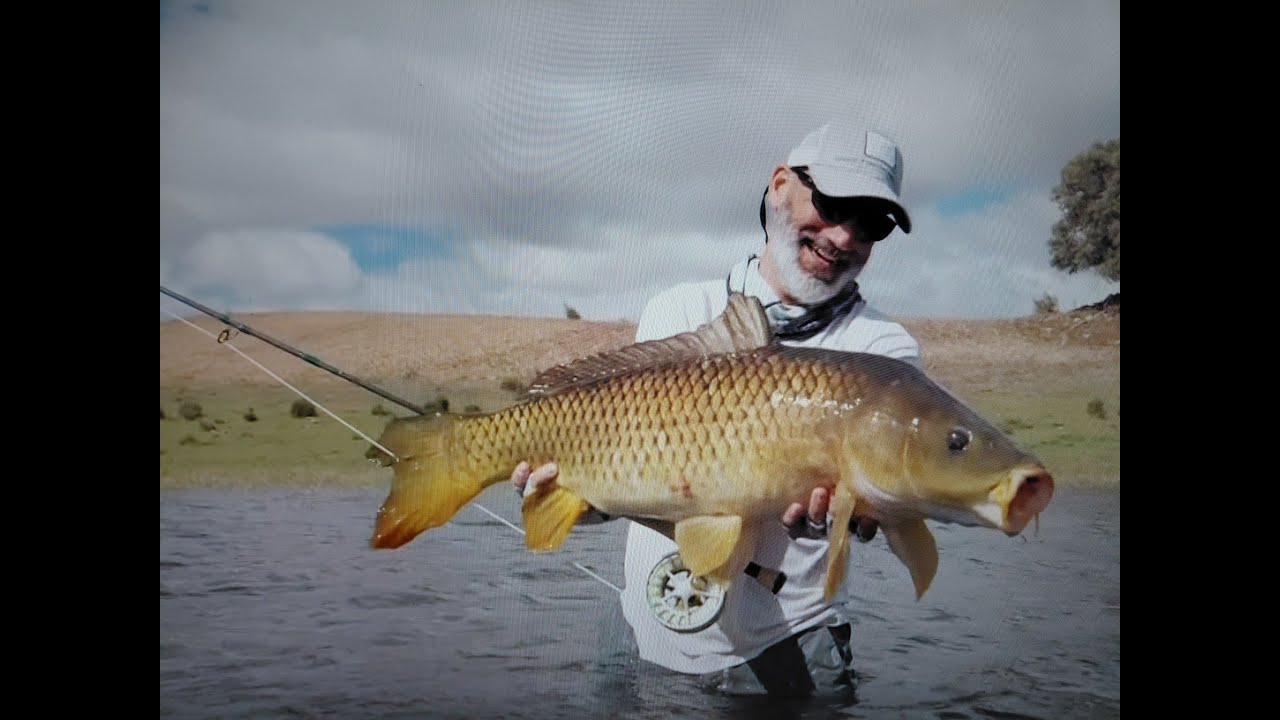 As Carpas do José. HD