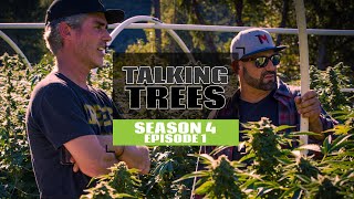 S4 EP1 The Most Sustainable Cannabis Brand In Cannabis | Talking Trees