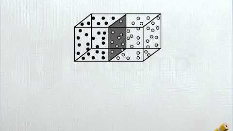 Diffusion of Two Gases - DM - Class 11