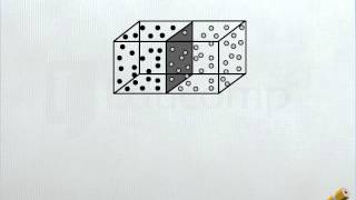 Diffusion of Two Gases - DM - Class 11