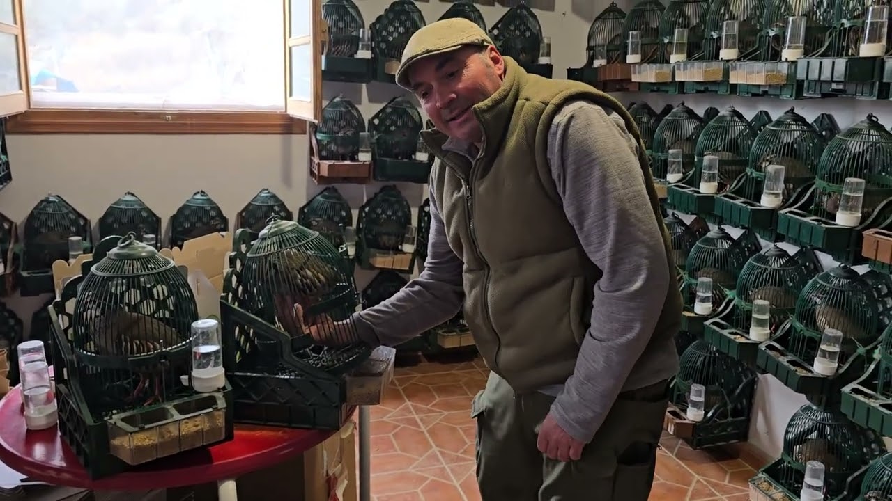 Mañana de viernes TLF 667 78 68 63