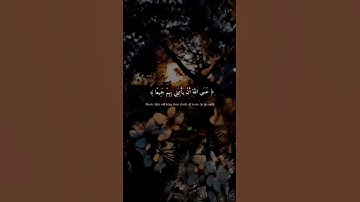 " فصبر جميل " تلاوه هادئه ومريحه للقلب ✨💛 | القارئ محمد هشام 💫❤
