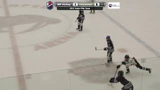MN Hockey Club vs. Hometown Hockey - 2013s - Shakopee Rink 1 - 7:00PM