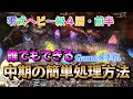 FF14 零式ヘビー級4層・前半:中期の簡単脳内処理方法を解説