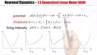 CNS7.5B - Parameter estimation for spike times Profile