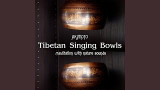 Tibetan Singing Bowls Meditative Healing Session, Pt. 1 screenshot 1