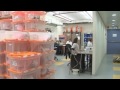 Шлем для борьбы с депрессией изобрели израильские ученые http://9kommentariev.ru/