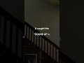 Something Followed Him Down the Stairs... 😳