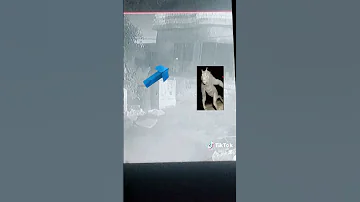 هذا الوحش صح مجود في محافظة البصرة 