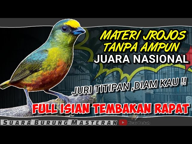 MATERI JROJOS ☑️ SUARA BURUNG FULL ISIAN TEMBAKAN RAPAT - JUARA NASIONAL class=