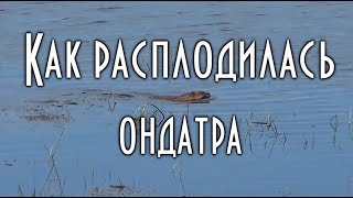 :    ,    ,  ..