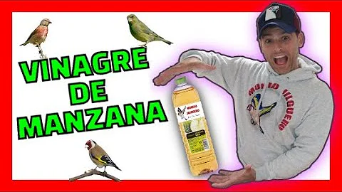 ¿Se puede rociar al pájaro con agua?