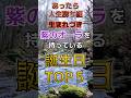 【注意】あったら人生勝ち組、生まれつき紫のオーラを持っている誕生日TOP5