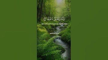 إن ربي لسميع الدعاء | تلاوة خاشعة بصوت الشيخ محمد صديق المنشاوي