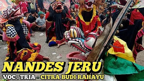 NANDES JERU VOC. TRIA CBR CREW VERSI JARANAN CITRA BUDI RAHAYU - OS OFFICIAL