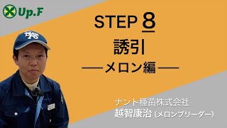 【Up.FTV メロン編 STEP8】誘引